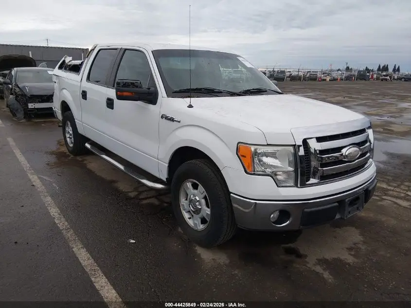 FORD F-150 2009. Lot# 44425849. VIN 1FTRW12839FA76255. Photo 1