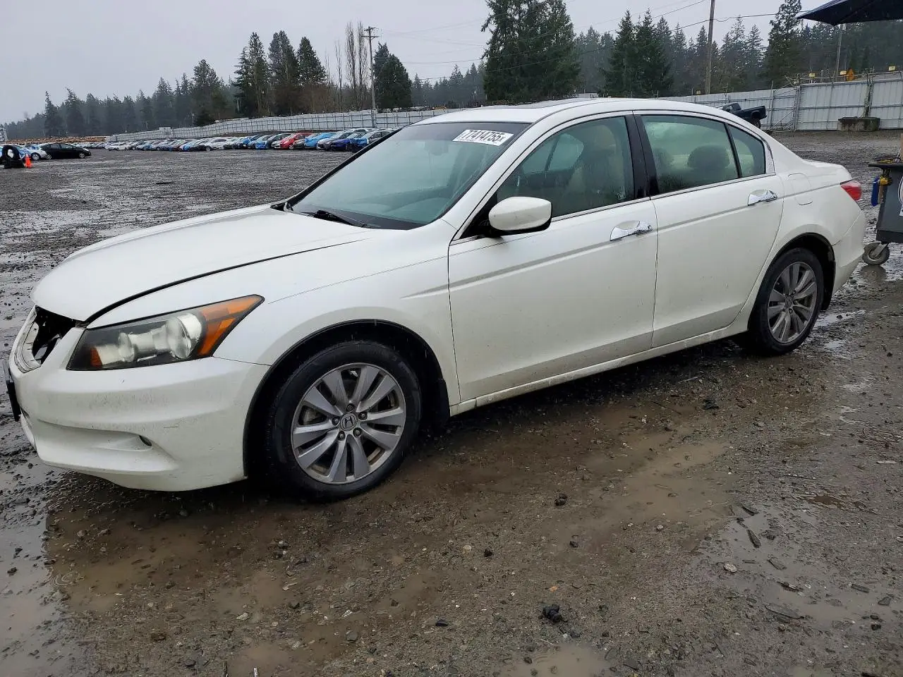 HONDA ACCORD 2011. Lot# 77414755. VIN 1HGCP3F86BA003149. Photo 1